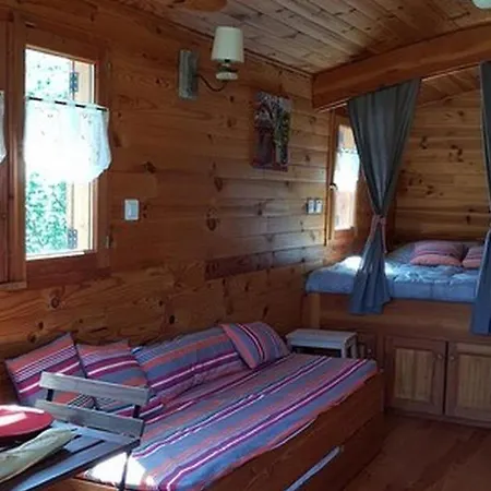 Camping Roulotte Accueillante, Animaux Admis - 4 Pers. - Api-1-52-2981 Saint-Paulien